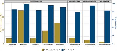 Dynamics of the Gut Bacteriome During a Laboratory Adaptation Process of the Mediterranean Fruit Fly, Ceratitis capitata